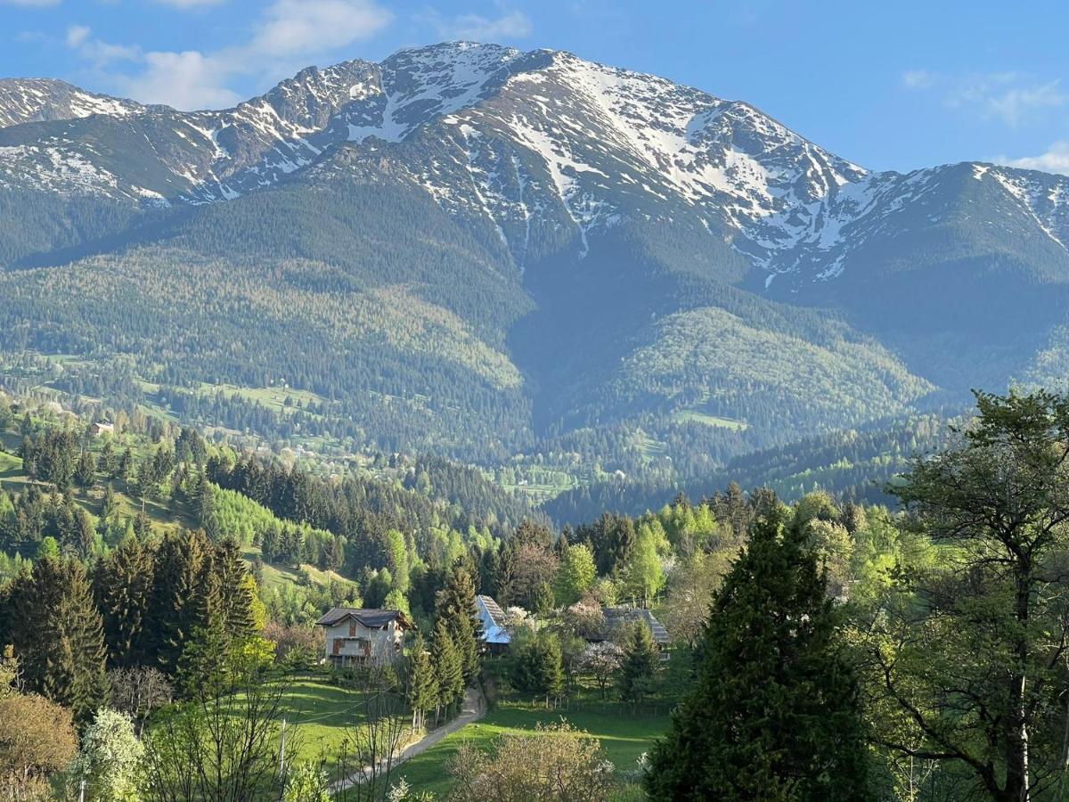 Вилла La Bujda Lu Mosu Борша Экстерьер фото