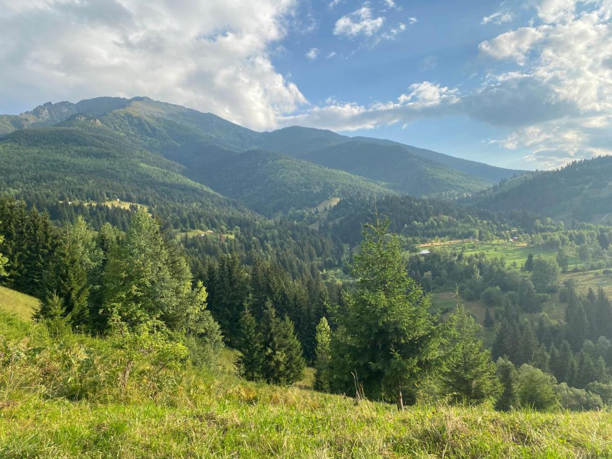 Вилла La Bujda Lu Mosu Борша Экстерьер фото